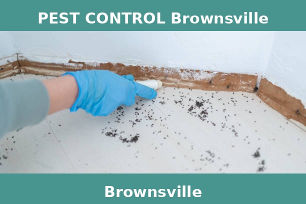 PEST CONTROL Brownsville